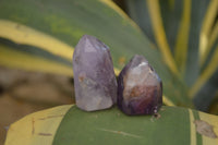 Polished Small Window Amethyst Crystals  x 12 From Madagascar - TopRock