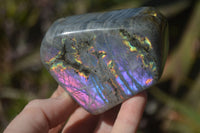 Polished Rare Purple Flash Labradorite Standing Free Forms x 4 From Tulear, Madagascar