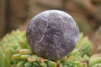 Polished Purple Lepidolite With Pink Tourmaline Points  x 12 From Madagascar - TopRock