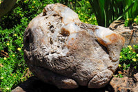 Polished Extra Large Crystal Cantered Agate Geode x 1 From Madagascar