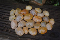 Polished Golden Healer Hematoid Quartz Galet / Palm Stones x 35 From Madagascar