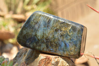 Polished Labradorite Standing Free Forms With Intense Blue & Gold Flash x 2 From Sakoany, Madagascar - TopRock