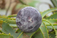 Polished Purple Lepidolite With Pink Tourmaline Points  x 12 From Madagascar - TopRock