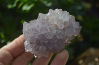 Natural Spirit Amethyst Quartz Clusters x 6 From Boekenhouthoek, South Africa