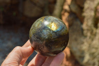 Polished Labradorite Spheres With Nice Subtle Flash x 7 From Tulear, Madagascar - TopRock