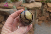 Polished Septaria Dragon's Eggs (Calcite & Aragonite) x 5 From Mahajanga, Madagascar - TopRock