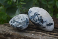 Polished Tourmalinated Quartz Free Forms  x 8 From Karibib, Namibia - TopRock