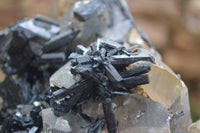 Natural Smokey Quartz Cluster With Schorl & Hyalite Opal x 1 From Erongo Mountains, Namibia