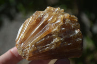 Natural Honey Aragonite Etched & Cobbed Pieces  x 12 From Namibia