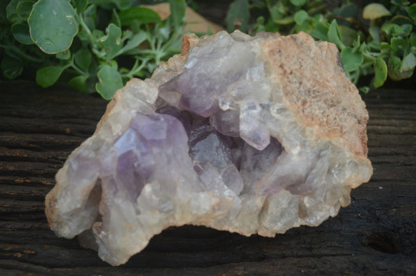 Natural Jacaranda Amethyst Cluster x 1 From Mumbwa, Zambia - TopRock