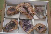 Natural Amethyst Crystal Centred Geodes  x 6 From Zululand, South Africa - TopRock