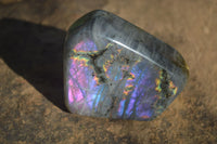 Polished Rare Purple Flash Labradorite Standing Free Forms x 4 From Tulear, Madagascar