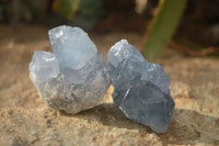 Natural Blue Celestite Crystal Specimens  x 12 From Sakoany, Madagascar