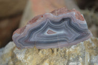 Polished Banded River Agate Nodules (A Grade) x 6 From Sashe River, Zimbabwe - Toprock Gemstones and Minerals 