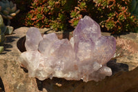 Natural Small Jacaranda Amethyst Quartz Vug Clusters  x 2 From Mumbwa, Zambia - TopRock