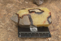 Polished Septaria (Yellow Calcite & Aragonite) Points x 2 From Mahajanga, Madagascar - TopRock