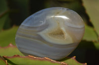 Polished Large Agate Palm Stones  x 1.8 Kg Lot From Madagascar