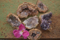 Natural Amethyst Crystal Centred Geodes  x 6 From Zululand, South Africa - TopRock