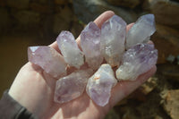 Natural Jacaranda Amethyst Crystals x 35 From Mumbwe, Zambia