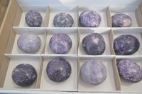 Polished Purple Lepidolite Palm Stones  x 12 From Zimbabwe