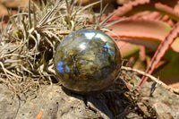 Polished Labradorite Spheres With Nice Subtle Flash x 7 From Tulear, Madagascar - TopRock