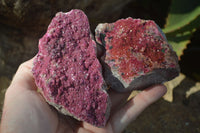 Natural Pink Salrose Cobaltion Dolomite Specimens  x 6 From Congo - Toprock Gemstones and Minerals 