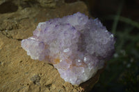 Natural Spirit Amethyst Quartz Clusters x 6 From Boekenhouthoek, South Africa