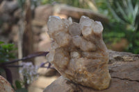 Natural Cascading Smokey Quartz Clusters x 2 From Luena, Congo