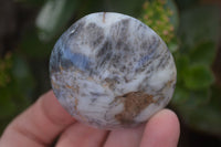 Polished Dendritic Green Opal Palm Stones  x 12 From Madagascar - Toprock Gemstones and Minerals 