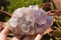 Natural Small Jacaranda Amethyst Quartz Vug Clusters  x 2 From Mumbwa, Zambia - TopRock