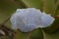 Natural Etched Blue Chalcedony Specimens  x 12 From Nsanje, Malawi