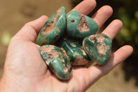 Polished Green Chrome / Emerald Chrysoprase Free Form Palm Stones   x 20 From Zimbabwe - TopRock