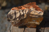 Natural Rough Nguni Jasper Specimens  x 3 From Northern Cape, South Africa - Toprock Gemstones and Minerals 