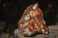 Natural Rough Nguni Jasper Specimens  x 3 From Northern Cape, South Africa - Toprock Gemstones and Minerals 