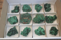 Natural Chatoyant Silky Malachite Specimens  x 12 From Congo