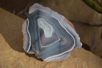 Polished Banded River Agate Nodules (A Grade) x 6 From Sashe River, Zimbabwe - Toprock Gemstones and Minerals 