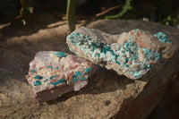 Natural Semi Crystalline Dioptase Specimens  x 2 From Grootfontein, Namibia