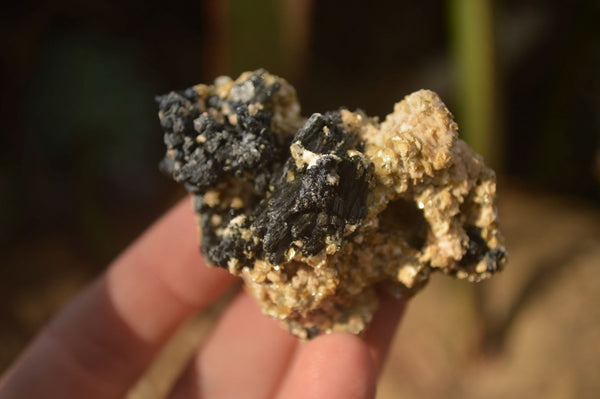 Natural Schorl Black Tourmaline In Vermiculite Mica Specimens x 24 From Erongo, Namibia