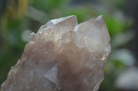 Natural Cascading White Phantom Smokey Quartz Clusters x 6 From Luena, Congo