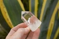 Polished Clear Quartz Crystal Points  x 12 From Madagascar - TopRock