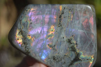 Polished Rare Purple Flash Labradorite Standing Free Forms x 4 From Tulear, Madagascar