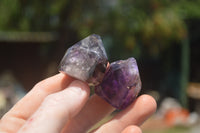 Polished Small Window Amethyst Crystals  x 12 From Madagascar - TopRock