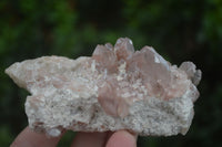 Natural Red Hematoid Phantom Quartz Crystals & Clusters  x 6 From Karoi, Zimbabwe - Toprock Gemstones and Minerals 