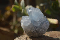 Natural Blue Celestite Crystal Specimens  x 12 From Sakoany, Madagascar