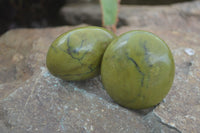 Polished Large Green Opal Palm Stones  x 12 From Madagascar - Toprock Gemstones and Minerals 