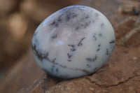 Polished Dendritic Green Opal Palm Stones  x 12 From Madagascar - Toprock Gemstones and Minerals 