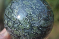 Polished Stromatolite / Kambamba Jasper Spheres  x 3 From Mahajanga, Madagascar - Toprock Gemstones and Minerals 