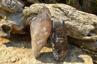 Natural New Smokey Quartz Crystal Specimens  x 6 From Mt. Mulanje, Malawi - TopRock