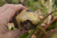 Polished Septaria (Yellow Calcite & Aragonite) Points x 2 From Mahajanga, Madagascar - TopRock