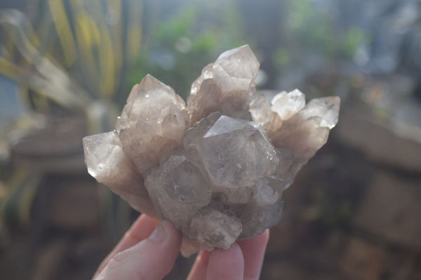 Natural Cascading Smokey Quartz Clusters x 2 From Luena, Congo